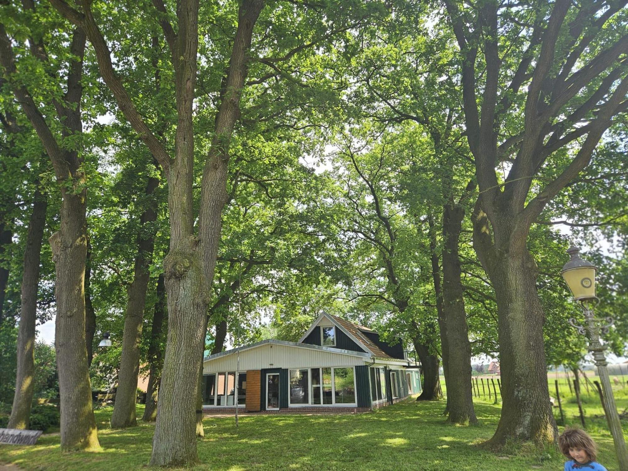 Ferienhaus Banana Lodge Bruchhausen-Vilsen Exterior photo